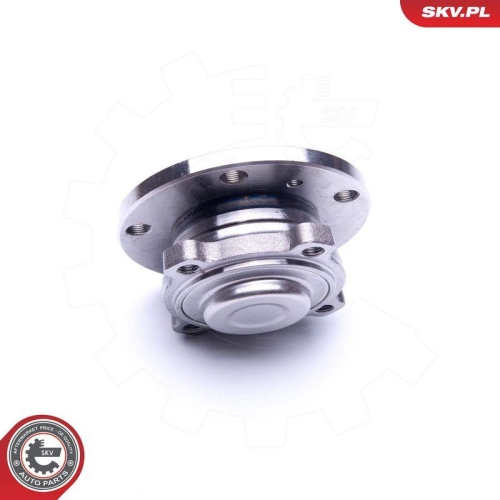 ESEN SKV Radlagersatz 29SKV250