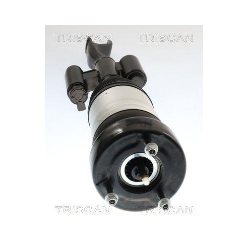 TRISCAN Luftfederbein 8720 23108