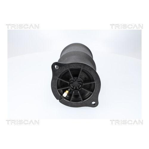 TRISCAN Luftfeder, Fahrwerk 8720 23210