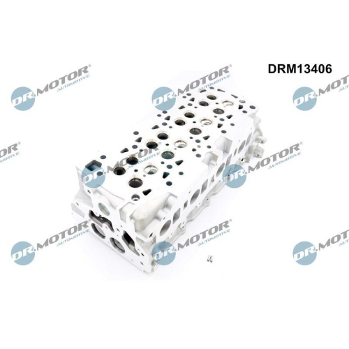 Dr.Motor Automotive Zylinderkopf DRM13406
