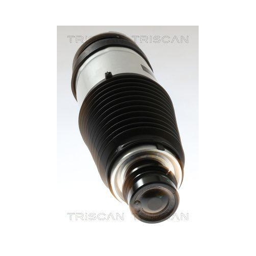 TRISCAN Luftfeder, Fahrwerk 8720 81102