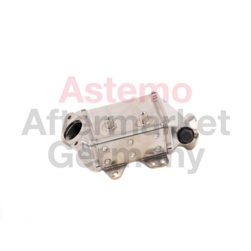 ASTEMO K&uuml;hler, Abgasr&uuml;ckf&uuml;hrung 2505971