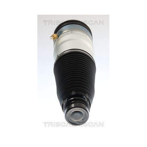 TRISCAN Luftfeder, Fahrwerk 8720 81106