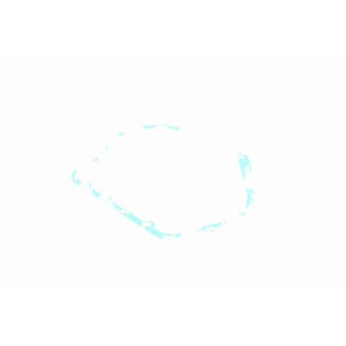 VAICO Dichtung, Ölwanne-Automatikgetriebe Original VAICO Qualität V10-2537