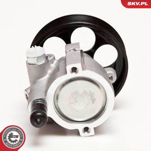ESEN SKV Hydraulikpumpe, Lenkung 10SKV115