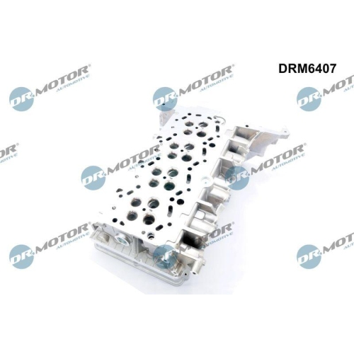 Dr.Motor Automotive Zylinderkopf DRM6407