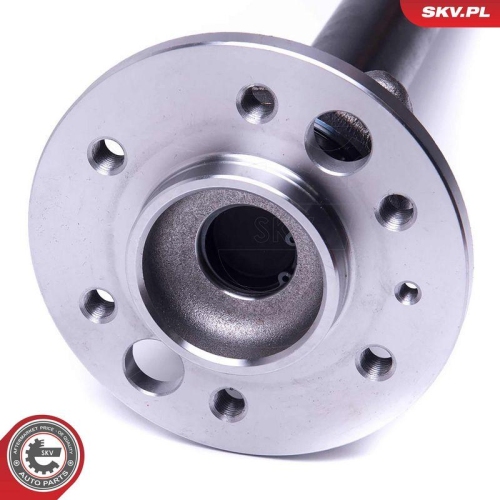 ESEN SKV Radlagersatz 29SKV996