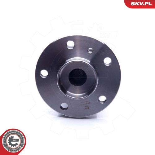 ESEN SKV Radlagersatz 29SKV267