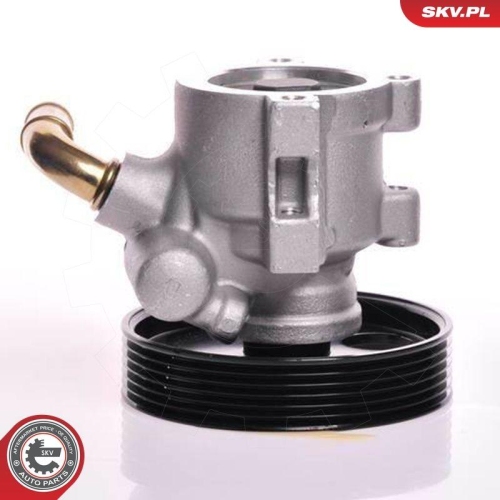 ESEN SKV Hydraulikpumpe, Lenkung 10SKV013