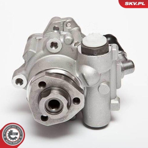 ESEN SKV Hydraulikpumpe, Lenkung 10SKV018