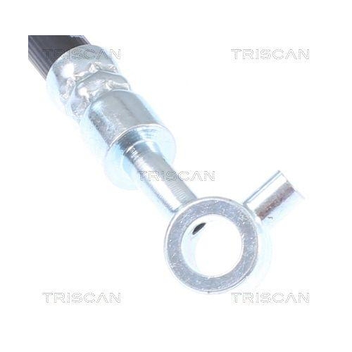 TRISCAN Bremsschlauch 8150 14181