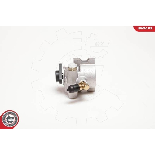 ESEN SKV Hydraulikpumpe, Lenkung 10SKV053