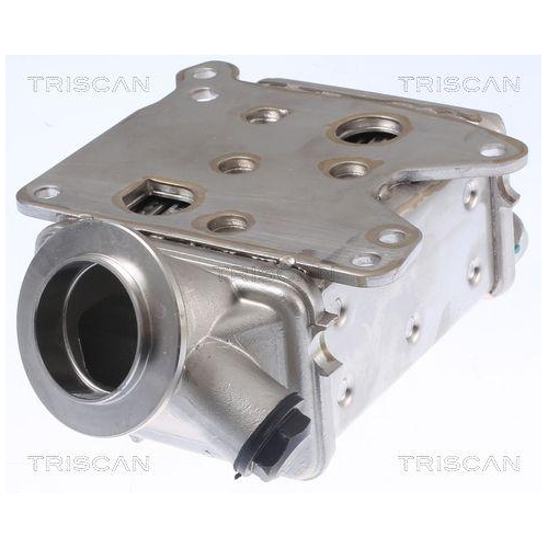 TRISCAN K&uuml;hler, Abgasr&uuml;ckf&uuml;hrung 8813 10113