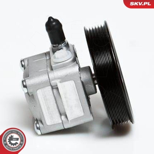 ESEN SKV Hydraulikpumpe, Lenkung 10SKV027