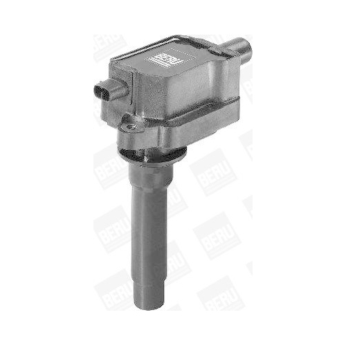 BorgWarner (BERU) Z&uuml;ndspule ZS434