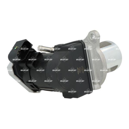 NRF AGR-Ventil 48737