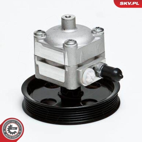 ESEN SKV Hydraulikpumpe, Lenkung 10SKV028