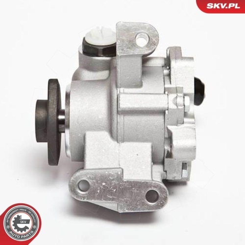 ESEN SKV Hydraulikpumpe, Lenkung 10SKV044
