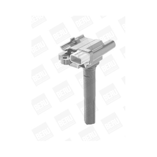 BorgWarner (BERU) Z&uuml;ndspule ZSE069