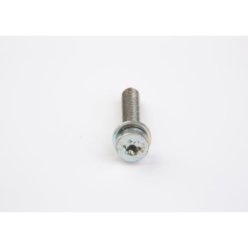 BOSCH Schraube F 002 D13 698