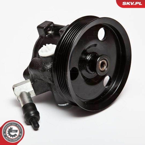 ESEN SKV Hydraulikpumpe, Lenkung 10SKV066