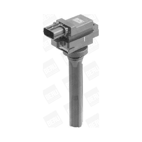 BorgWarner (BERU) Z&uuml;ndspule ZSE072