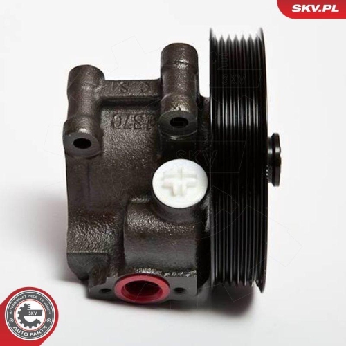 ESEN SKV Hydraulikpumpe, Lenkung 10SKV067