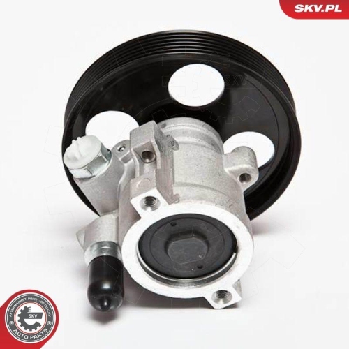 ESEN SKV Hydraulikpumpe, Lenkung 10SKV069