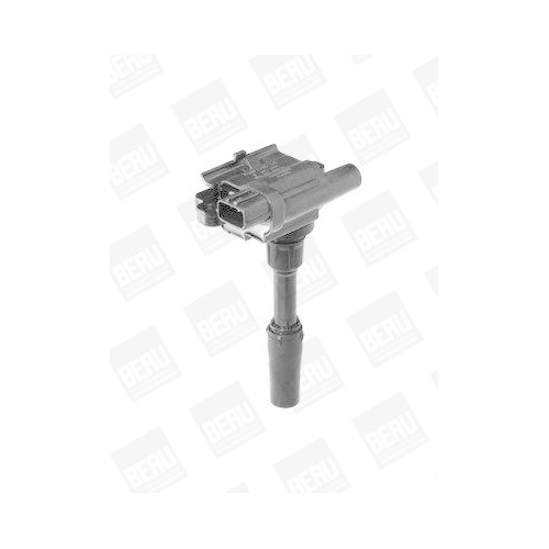 BorgWarner (BERU) Z&uuml;ndspule ZSE136