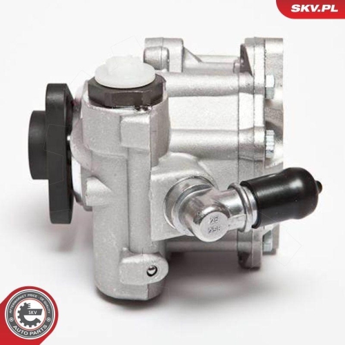 ESEN SKV Hydraulikpumpe, Lenkung 10SKV072