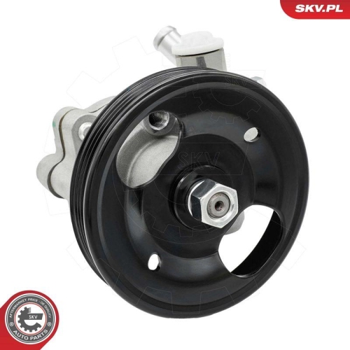 ESEN SKV Hydraulikpumpe, Lenkung 10SKV078