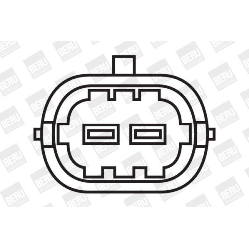 BorgWarner (BERU) Z&uuml;ndspule ZS309