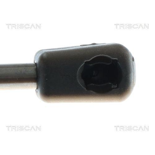 TRISCAN Gasfeder, Koffer-/Laderaum