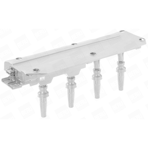 BorgWarner (BERU) Z&uuml;ndspule ZS349