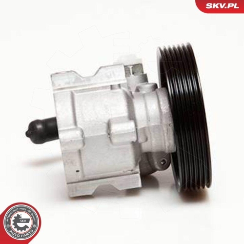 ESEN SKV Hydraulikpumpe, Lenkung 10SKV085