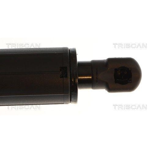 TRISCAN Gasfeder, Koffer-/Laderaum 8710 232103