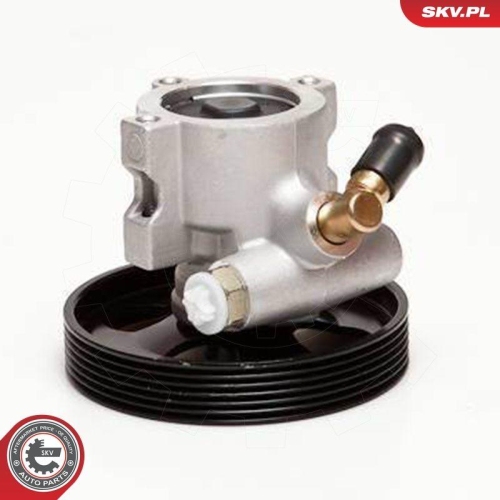 ESEN SKV Hydraulikpumpe, Lenkung 10SKV086