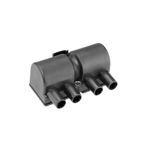 BorgWarner (BERU) Z&uuml;ndspule ZS545