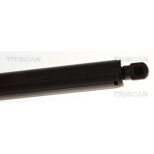 TRISCAN Gasfeder, Koffer-/Laderaum 8710 16281