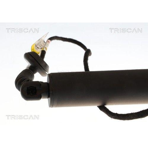 TRISCAN Gasfeder, Koffer-/Laderaum 8710 16317