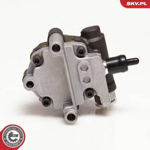 ESEN SKV Hydraulikpumpe, Lenkung 10SKV094
