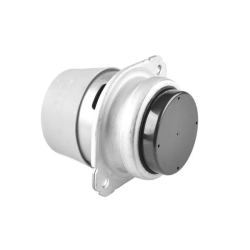 TEDGUM Lagerung, Motor TED15116