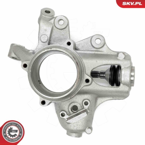 ESEN SKV Achsschenkel, Radaufhängung