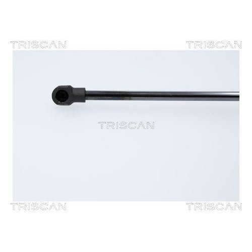 TRISCAN Gasfeder, Koffer-/Laderaum 8710 18247