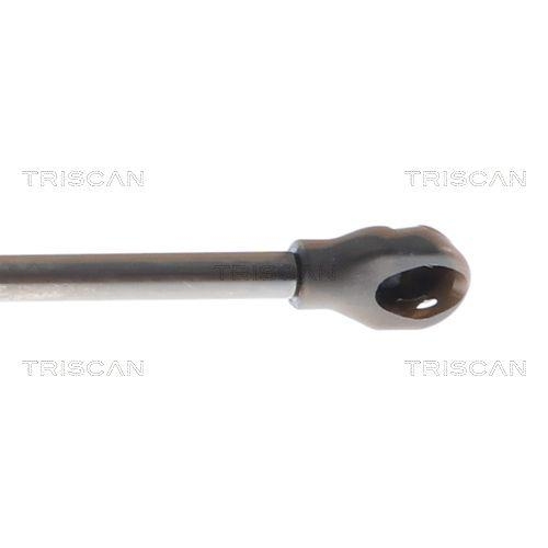 TRISCAN Gasfeder, Motorhaube 8710 27313