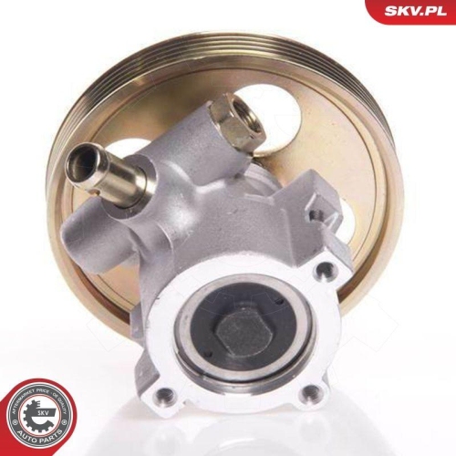 ESEN SKV Hydraulikpumpe, Lenkung 10SKV119