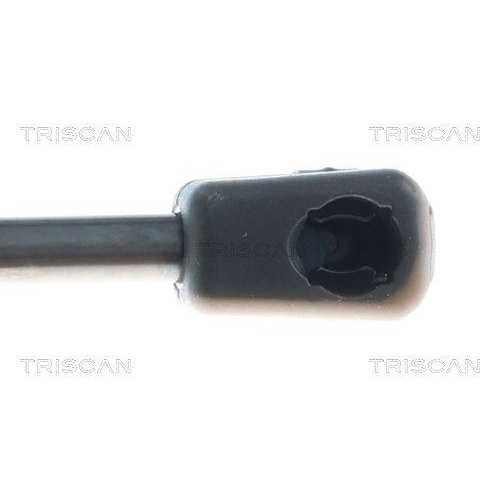 TRISCAN Gasfeder, Koffer-/Laderaum 8710 292079