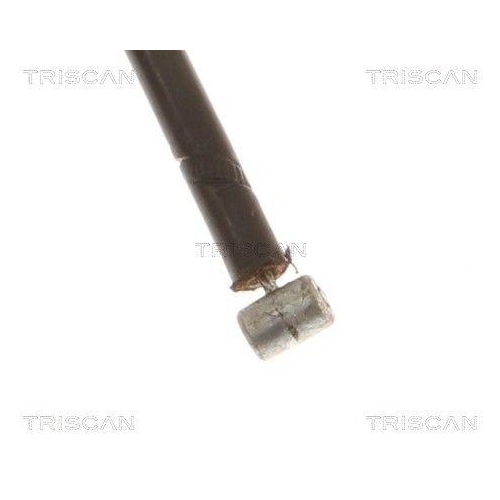 TRISCAN Motorhaubenzug 8140 11612