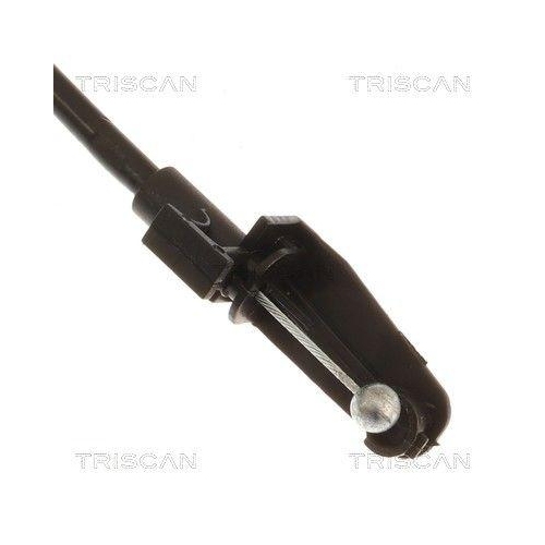 TRISCAN Motorhaubenzug 8140 29642