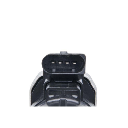 BorgWarner AGR-Ventil 7389D